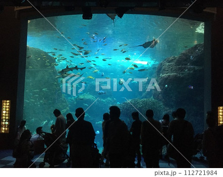 水族館の大水槽を見る人々 112721984