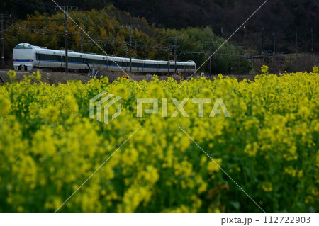 湖西線強風のため琵琶湖線を迂回運転する特急サンダーバード（東海道本線 安土-能登川,2024年3月） 112722903