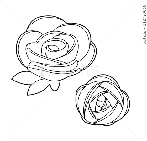 Rose 112723066