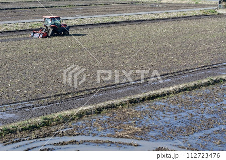 春の田んぼ 春の田んぼ 112723476