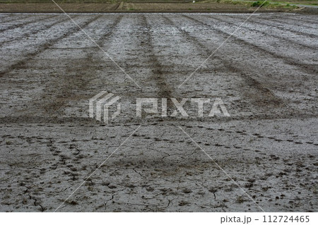 田植え前の田んぼ 3月 田植え前の田んぼ 3月 112724465