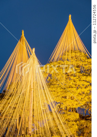 冬の風物詩「雪吊り」が美しくライトアップされた兼六園の夜景｜観光イメージ｜石川県金沢市 112724556