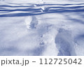 雪原に残る足跡 112725042