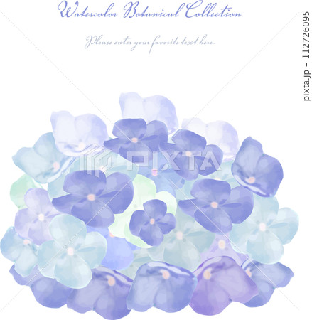 水彩で描いた青い紫陽花のイラスト 112726095