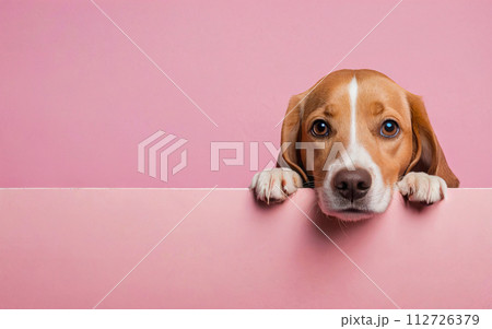 dog, love your pet day, banner, greeting card, social media, pink background 112726379