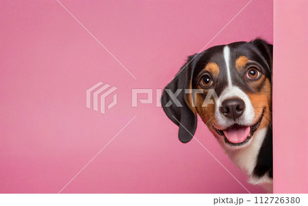 dog, love your pet day, banner, greeting card, social media, pink background 112726380
