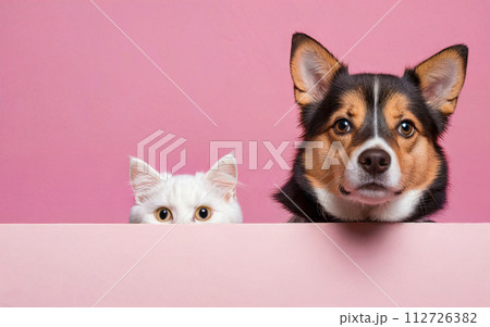 cat and dog, love your pet day, banner, greeting card, social media, pink background cat and dog, love your pet day, banner, greeting card, social media, pink background 112726382