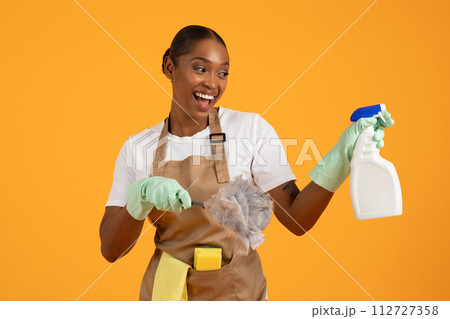 African American woman in apron poses with cleaning supplies, studio African American woman in apron poses with cleaning supplies, studio 112727358