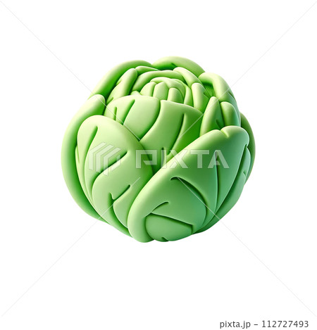 3D cabbage 112727493