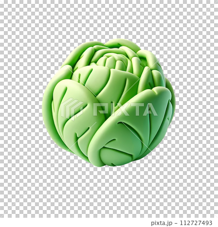 3D cabbage 112727493