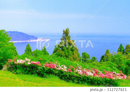 牡鹿半島から眺望する太平洋 112727821