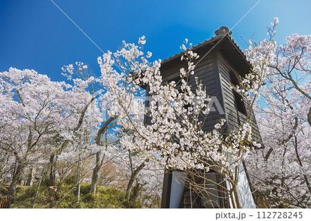 長野 高遠城址公園の春景色 112728245
