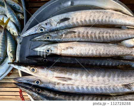 Barracuda or Seapike ( Sphyraenidae ) fish in a steel tray,  Sea fishes in market, Thailand 112728288