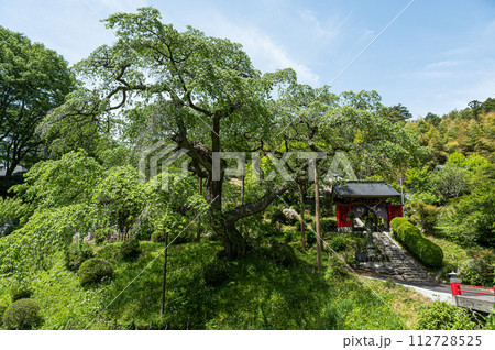 泉福寺 泉福寺 112728525