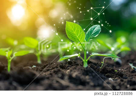 Smart Farm Concept, Agricultural Automation Control, Using Data to Analyze Plant Quality. Generative Ai 112728886