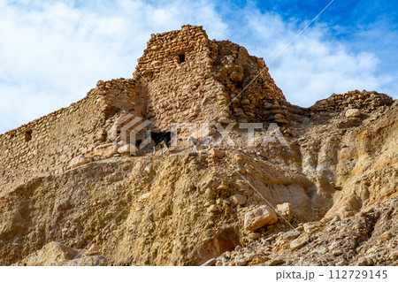 シェビカ シェビカ 112729145