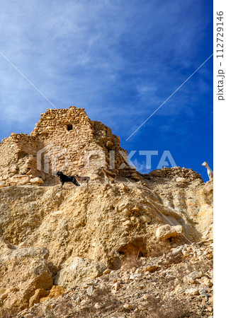 シェビカ シェビカ 112729146