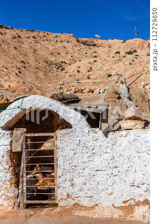 マトマタ 112729850