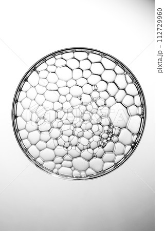 A close-up photo of water droplets that can be used in science, medicine, ingredients, and beauty designs. 112729960