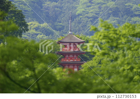清水寺 新緑に包まれた子安塔 清水寺 新緑に包まれた子安塔 112730153