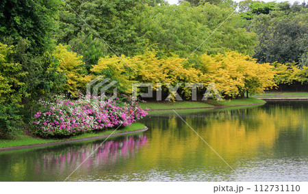 scenery of summer day at lake, beautiful tree with reflections in water with beautiful sky. scenery of summer day at lake, beautiful tree with reflections in water with beautiful sky. 112731110