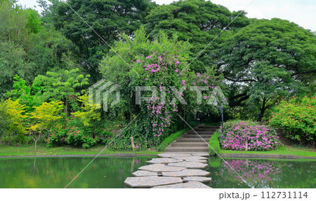 A series of stepping stones over a garden pond. A series of stepping stones over a garden pond. 112731114