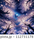 よ下から見た夜桜 112731178