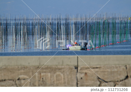 大牟田市 三池港 海苔摘み、 大牟田市 三池港 海苔摘み、 112731208