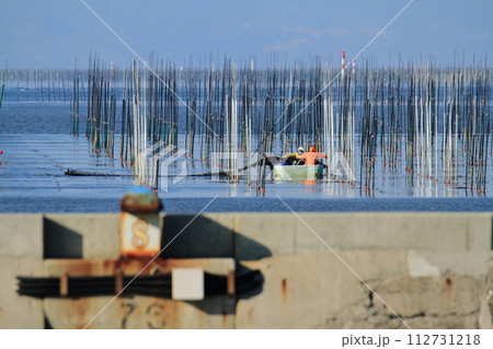 大牟田市　三池港　海苔摘み、 112731218
