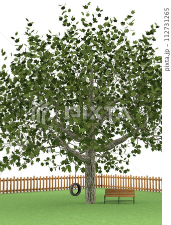 3D Tire swing on the tree 112731265