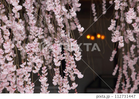 長野県飯田市 麻績の里 舞台桜 長野県飯田市 麻績の里 舞台桜 112731447
