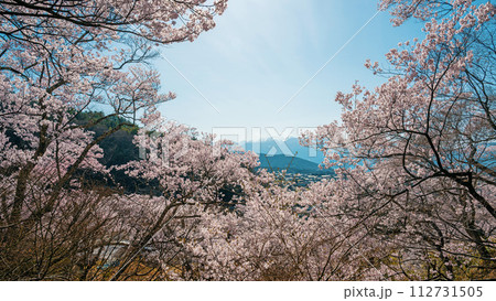 長野 高遠城址公園から望む南アルプス 112731505