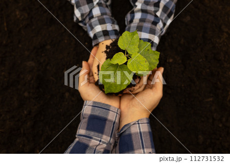 The child's hands carefully hold a small tree and the mother's hands help him protect nature. View from above. Hands hold a young tree seedling, protecting and saving it. Saving the planet. The child's hands carefully hold a small tree and the mother's hands help him protect nature. View from above. Hands hold a young tree seedling, protecting and saving it. Saving the planet. 112731532