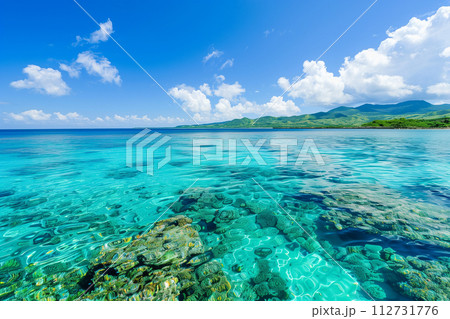 珊瑚礁の綺麗な海 112731776