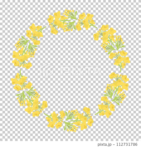 菜の花のリースのベクターイラスト 112731786