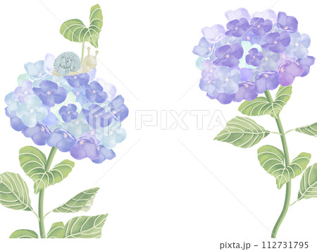 カタツムリと梅雨に咲く青い紫陽花のフレーム 112731795
