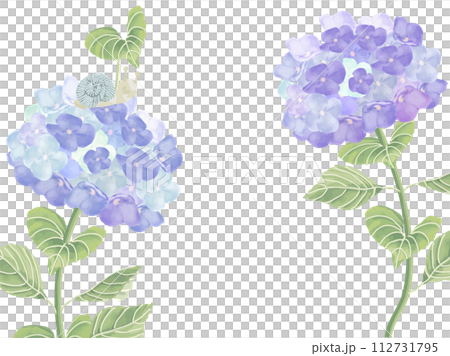 カタツムリと梅雨に咲く青い紫陽花のフレーム 112731795