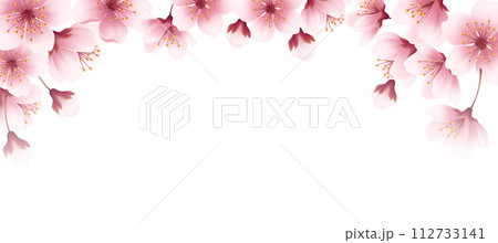 Floral Spring Cherry Flowers Blossom Border. Realistic banner with pink blossom background on soft light background for wallpaper design Floral Spring Cherry Flowers Blossom Border. Realistic banner with pink blossom background on soft light background for wallpaper design 112733141