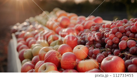 The sun's rays illuminate a fruit stand at a farmers' market. Fruits from local farmers The sun's rays illuminate a fruit stand at a farmers' market. Fruits from local farmers 112733455