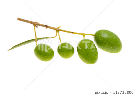 sprig with green olives isolated sprig with green olives isolated 112733800