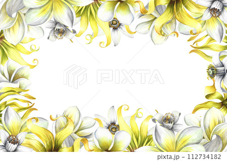 A frame with fragrant flowers of plumeria, frangipani, orange blossom and ylang-ylang. Vintage elegant frame with tropical flowers and butterflies. Hand-drawn watercolor illustration. A frame with fragrant flowers of plumeria, frangipani, orange blossom and ylang-ylang. Vintage elegant frame with tropical flowers and butterflies. Hand-drawn watercolor illustration. 112734182