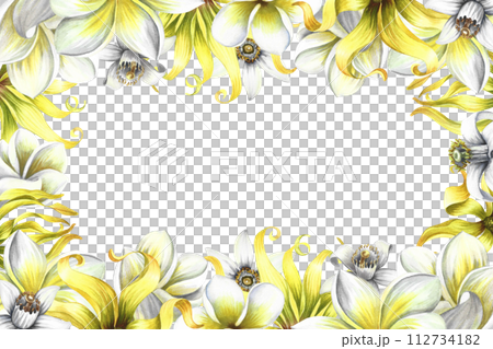 A frame with fragrant flowers of plumeria, frangipani, orange blossom and ylang-ylang. Vintage elegant frame with tropical flowers and butterflies. Hand-drawn watercolor illustration. A frame with fragrant flowers of plumeria, frangipani, orange blossom and ylang-ylang. Vintage elegant frame with tropical flowers and butterflies. Hand-drawn watercolor illustration. 112734182