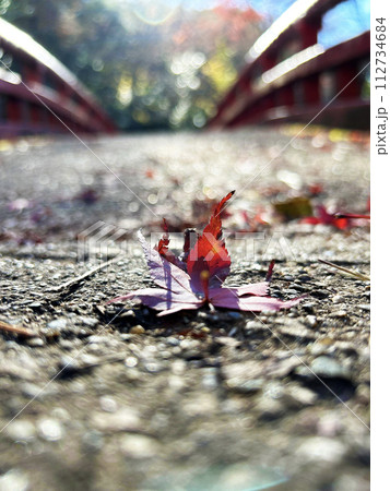 遊歩道の落ち葉のクローズアップ 112734684