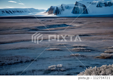 winter landscape with snow 112734721