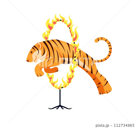Circus tiger animal jumping through fire ring. Vector carnival performance with majestic shapito tiger leaps fearlessly through a blazing hoop of fire, captivating audience with thrilling spectacle 112734865