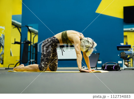 a slender athletic woman in the gym is beautifully engaged in yoga exercises on a mat 112734883