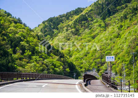 『日本で最も美しい村・馬瀬』鮮やかな新緑風景 112735145