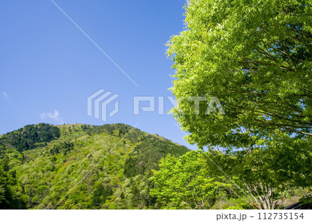 爽やかな青空と鮮やかな新緑が美しい初夏の風景 112735154