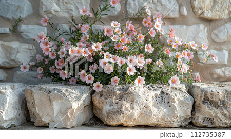Block of Italian Travertine stone 112735387