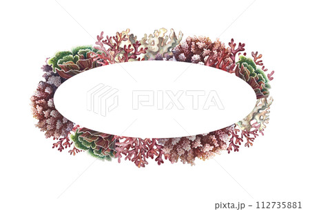 Oval coral frame. The underwater world. Hand-drawn watercolor painting. Aquarium, tropics, reefs. For labels, business cards and packaging, postcards and flyers, a template for lettering. 112735881